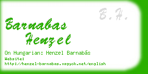 barnabas henzel business card